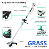 LiTHELi 40V 14 inches Cordless Grass Trimmer 2 in 1 with 2.5AH Battery and Charger