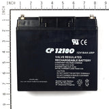 Briggs & Stratton 193043GS Battery Replaces 193463
